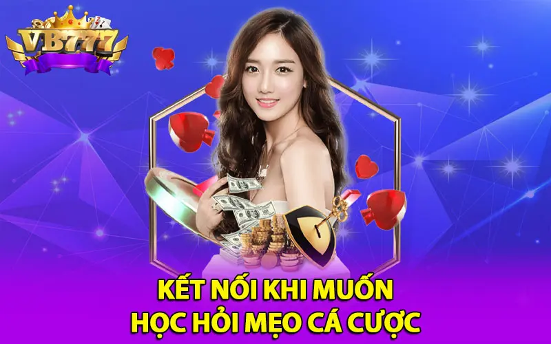 Kết nối khi muốn học hỏi mẹo cá cược